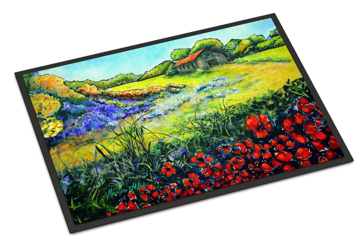 Back Home Doormat Front Door Mat Indoor Outdoor Rugs For Entryway, Non Slip Washable Low Pile, 24H X 36W_maomaolike.com