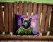 Schipperke King Of Mardi Gras Throw Pillow Machine Washable, Indoor Outdoor Decorative Pillow For Couch, Bed Or Patio, 14Hx14W_maomaolike.com