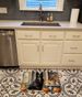 Belgian Sheepdog Fall Kitchen Pumpkins Memory Foam Kitchen Mat Machine Washable Anti-Fatigue Mat Cushion Comfort Bath Mat Or Kitchen Rug_maomaolike.com