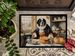 Saint Bernard Fall Kitchen Pumpkins Doormat Front Door Mat Indoor Outdoor Rugs For Entryway, Non Slip Washable Low Pile, 24H X 36W_maomaolike.com