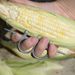 Kitchen Gadget Manual Corn Peeler For Household_maomaolike.com