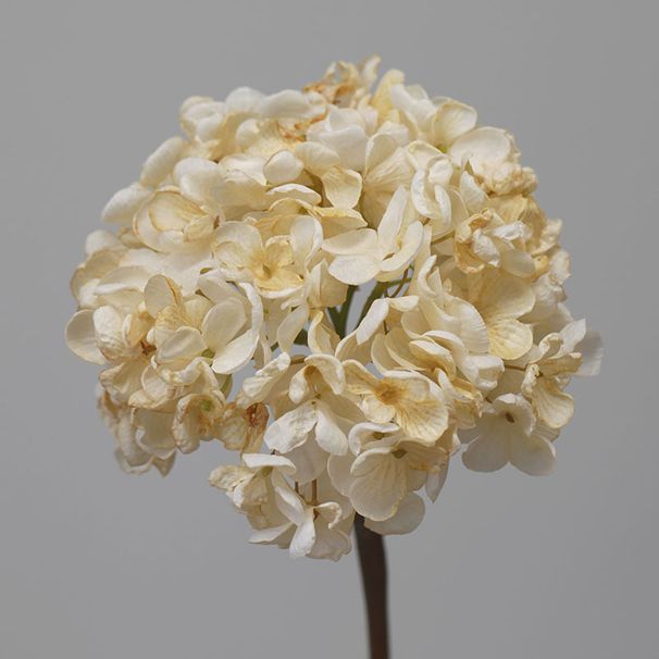 Flowers, burnt edge large hydrangea, retro oil painting sense, home hotel wedding decoration floral art_maomaolike.com