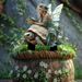 Acrylic Garden Ground Creative Potted Plant Ornament Insert Decor,Elegant Fairy & Ancient Giant Turtle Figurine Yard Lawn Outdoor Landscape Decoration_maomaolike.com
