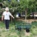 (Green Solid Wheels Wagon Cart) Solid Wheels Tools Cart Wagon Cart Garden Cart Trucks Make It Easier To Transport Firewood_maomaolike.com