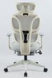 Ergonomic Office Chair With Footrest, High Back Computer Office Chair With Dynamic Lumbar Support, 2D Headrest, 2D Armrest, Sponge Seat, Mesh Home Office Desk Chair For Adults, GREY_maomaolike.com