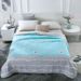 Manufacturer Wholesale New Simple Brushed Print Air Conditioner Summer Quilt Core Gift Dropshipping_maomaolike.com