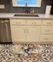 German Shorthaired Pointer The Chef Memory Foam Kitchen Mat Machine Washable Anti-Fatigue Mat Cushion Comfort Bath Mat Or Kitchen Rug_maomaolike.com