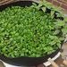 Plant Growth Bag, Circular Elevated Garden Bed, Planting Basin, Suitable For Outdoor Garden Planting Potatoes, Carrots, Onions_maomaolike.com
