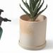 Nordic Style Unglazed INS Ceramic Flower Succulent Plant Pot Modern Simple Personality Green Radish Rose_maomaolike.com
