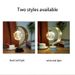Nordic Iron Moon Ball Romantic Warm LED Table Lamp
_maomaolike.com