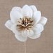 Lotus Aromatherapy Oil Absorbing Fragrance Artificial Peony Home Decor Plant Dried Flower_maomaolike.com