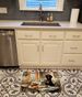 Black Lab Fall Kitchen Pumpkins Memory Foam Kitchen Mat Machine Washable Anti-Fatigue Mat Cushion Comfort Bath Mat Or Kitchen Rug_maomaolike.com
