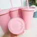 5pcs 24oz PP Colorful Straw Large Capacity Milk Tea Cup For Iced Coffee Cold Drinks Travel Office Party_maomaolike.com
