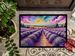 English Lavender In Color Doormat Front Door Mat Indoor Outdoor Rugs For Entryway, Non Slip Washable Low Pile, 24H X 36W_maomaolike.com