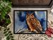Eurasian Eagle Owl Doormat Front Door Mat Indoor Outdoor Rugs For Entryway, Non Slip Washable Low Pile, 24H X 36W_maomaolike.com