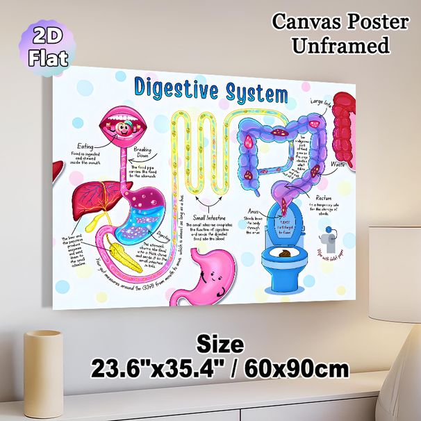 Digestive System Educational Painting Poster, Vibrant Cartoon-style Human Digestive System Illustration Poster, Informative Learning Tool With Clear_maomaolike.com