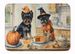 Affenpinscher Fall Kitchen Pumpkins Memory Foam Kitchen Mat Machine Washable Anti-Fatigue Mat Cushion Comfort Bath Mat Or Kitchen Rug_maomaolike.com