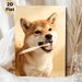 Shiba Inu Brushing Teeth Painting Poster, Warm-toned Cute Playful Pet Scene Poster, Lovely Pet-themed Decor Ideal For Living Room, Bedroom And Pet_maomaolike.com
