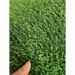 3FT*16FT Artificial Turf, Professional Dog Mat Large Turf Outdoor Carpet Terrace Pet Lawn, Artificial Carpet With Drainage Holes (Grass Height 0.78 Inches/2cm)_maomaolike.com