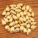 Mini Bar Simulation Props Gold Gourd Coins Yuanbao Home Store Decoration Housewarming Gift Crafts Stall Hot Item_maomaolike.com