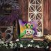 Maltipoo King Of Mardi Gras Throw Pillow Machine Washable, Indoor Outdoor Decorative Pillow For Couch, Bed Or Patio, 18Hx18W_maomaolike.com