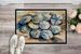 Sand Dollars Doormat Front Door Mat Indoor Outdoor Rugs For Entryway, Non Slip Washable Low Pile, 24H X 36W_maomaolike.com