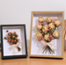 Dried Fresh Flower Rose Butterfly Specimen Empty DIY Decorative Picture, A4 Wall Hanging 6inch Hollow Wooden Photo_maomaolike.com