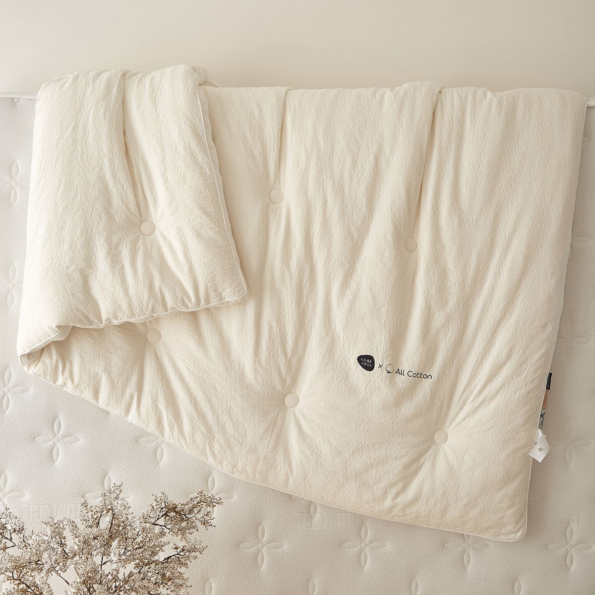 Class A All-Cotton Jacquard Skin-Friendly Soybean Li Guanqi Modified Polyethylene Breathable Spring And Autumn Thickened Warm Quil_maomaolike.com