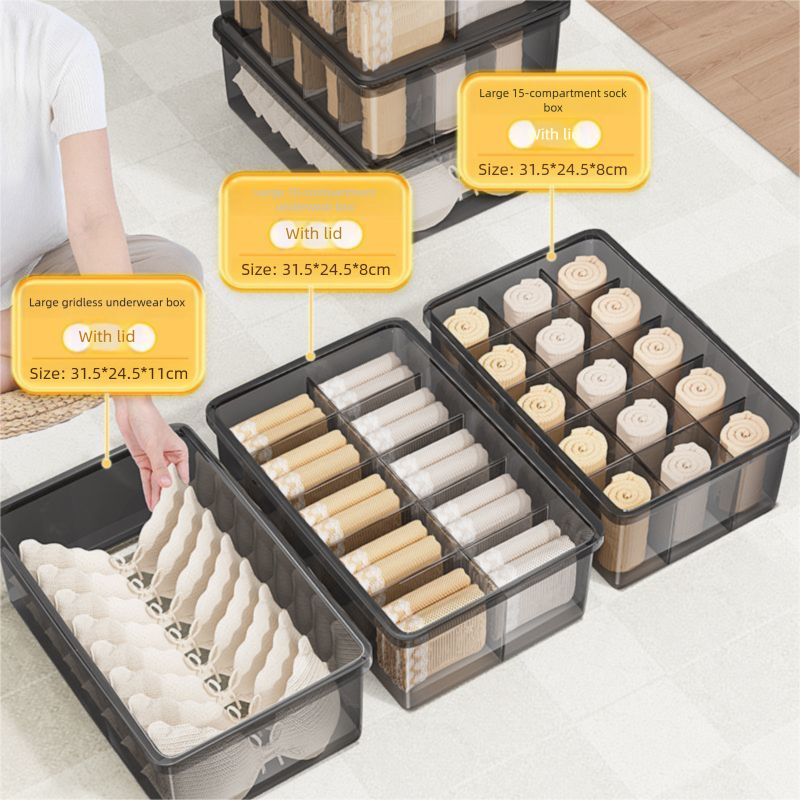 Lidded Underwear Organizer, Thickened Multi-Compartment Box For Socks & Bras, 3-Piece Set With Dividers_maomaolike.com