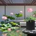 Aquatic Plant Planting Bag, Pond Plant Basin, Suitable For Water Lilies, Vegetables, Carrots, Onions, Potatoes_maomaolike.com