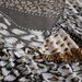 Wild Animal Print 3D Fitted Sheet Set - Leopard Tiger Pattern Polyester Stretchable Bed Cover With Pillowcases_maomaolike.com