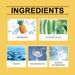 Jakehoe Fruit And Vegetable Cleaning Essence Mild Oil Cleaning Tableware Clean Fruit And Vegetable Multi-Functional Cleaner_maomaolike.com