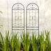 2 Pack Metal Garden Trellis 86.7" X 19.7" Rustproof Trellis For Climbing Plants Outdoor Flower Support Black_maomaolike.com
