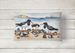 Birds, Birds, Birds Throw Pillow Throw Pillow For Indoor Couch Bed Outdoor Patio Washable, Oystercatchers Feeding 7521,12Hx16W_maomaolike.com