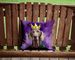 Weimaraner King Of Mardi Gras Throw Pillow Machine Washable, Indoor Outdoor Decorative Pillow For Couch, Bed Or Patio, 14Hx14W_maomaolike.com