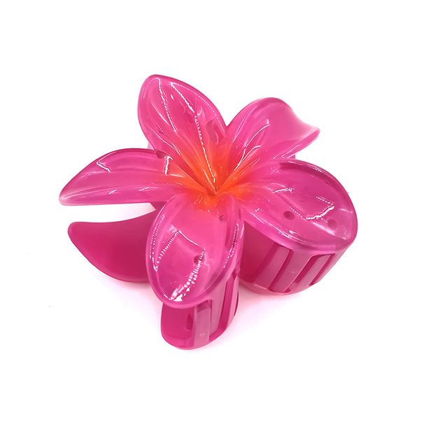 Egg Flower Grab Clip Gradient Flower candy bauhinia back Hair Shark clip hair accessories_maomaolike.com