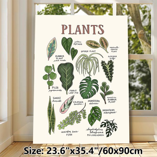 Houseplants Identification Painting Poster, Hand-drawn Illustrated Indoor Houseplants Poster, Informative Plant Naming Guide, Suitable For Home_maomaolike.com
