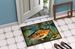 Brown Trout Doormat Front Door Mat Indoor Outdoor Rugs For Entryway, Non Slip Washable Low Pile, 24H X 36W_maomaolike.com