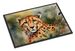 Cheetah Doormat Front Door Mat Indoor Outdoor Rugs For Entryway, Non Slip Washable Low Pile, 24H X 36W_maomaolike.com