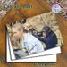 Chimpanzee & Human Interaction Painting Poster, Vintage Warm Wildlife Scene Poster, Heartwarming Animal-human Bond Decor For Living Room, Study And_maomaolike.com
