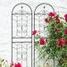2 Pack Metal Garden Trellis 71" X 19.7" Rustproof Trellis For Climbing Plants Outdoor Flower Support Black_maomaolike.com