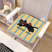 【 Hot Selling 】 Summer Ice Silk Cooling Office Sitting, Brehable, Non Slip For Student Dormitory, Cute Cartoon Chair_maomaolike.com