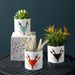 Wooden Tray Base Water Catcher Flower Pot Nordic Bamboo Wood Round Square Succulent Plant_maomaolike.com