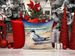 Tern Resting Throw Pillow Machine Washable, Indoor Outdoor Decorative Pillow For Couch, Bed Or Patio, 14Hx14W_maomaolike.com