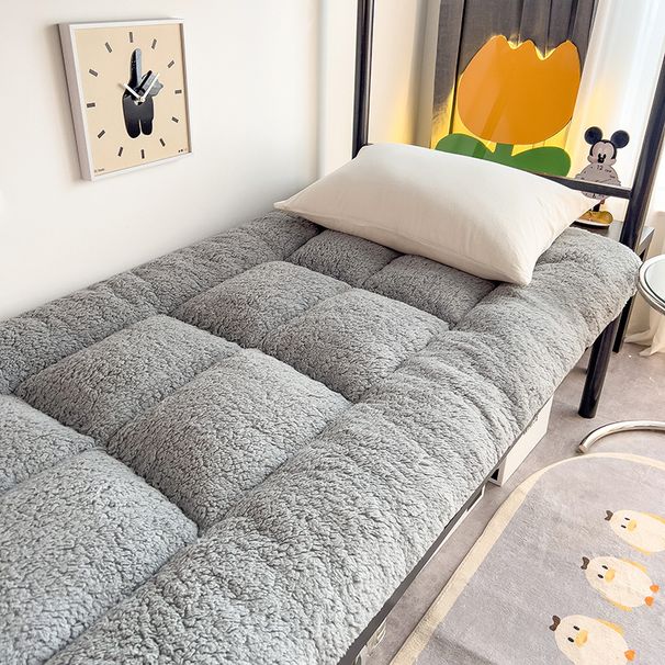 Warm Lamb Wool Winter For Students Dormitory - Student Mattress_maomaolike.com