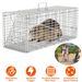 Humane Cat Trap Cage Catch Release Live Animal Rodent Cage Collapsible Galvanized Wire For Raccoons Beavers Groundhogs Foxes Armadillos_maomaolike.com