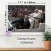 Papal Procession Painting Poster, Classic Documentary-style Poster, Captures Solemn Moment Of Pope Greeting Cheering Crowd, Suitable For Home Or_maomaolike.com