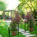 Metal Garden Arch With Gate 79.5'' Wide X 86.6'' High Climbing Plants Support Rose Arch Outdoor Black_maomaolike.com