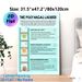 Polyvagal Ladder Painting Poster, Informative Pastel-colored Illustrated Educational Poster, Clearly Explains Nervous System Stress Response Stages_maomaolike.com