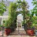 Metal Garden Arch With Gate And Plant Pot Garden Arbor Trellis Climbing Plants Support Rose Arch Black_maomaolike.com